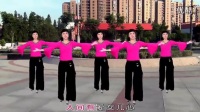 惠汝广场舞《问候你》广场舞蹈视频大全2015_高清
