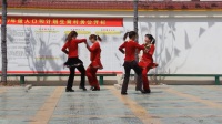 福梅广场舞 草原情哥哥双人舞 简单32步 正面背面视频