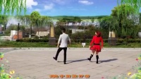 黑龙江齐齐哈尔 广场舞鬼步舞详细分解《红马鞍》团队版