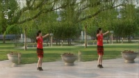 天津叶子广场舞《全民共舞》编舞：杨丽萍：动动：习舞：叶子