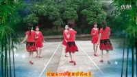 2016最新双人舞DJ《做我的爱人》衡阳丽萍广场舞_标清_标清