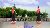 春和广场舞我的西藏正面演示