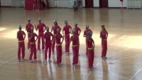 2017年5月20日临清市广场舞大赛广场舞舞第一名“香香舞蹈队”作品