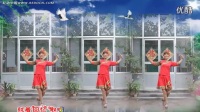 糖豆广场舞2016年最新踏浪舞蹈视频
