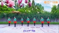 河南龙城广场舞 乌兰山下一朵花 原创正背面示范