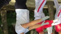 景泰县景怡玲健身舞蹈协会第一次学上广场舞