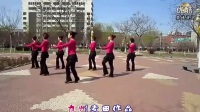 2017年最新32步广场舞杨丽萍走天涯分解动作教学_高清