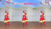 2016最新艳桃广场舞《天边的情歌》正背面演示_标清