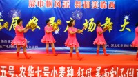 7号选手 河西镇赵村 带来的广场舞 《中华全家福》