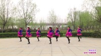 南阳唐河滩王张营广场舞 跳到北京 表演