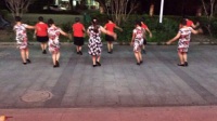 广东梅州雁洋舞动群情《对花》广场舞