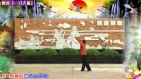 大丰港舞者男子广场舞《一只大雁》（个人版）