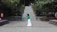 滁州市莲心湖公园广场舞﹤落花>编舞:艺苑儿，习舞:雨林。