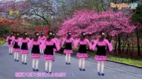 菊荣广场舞《粉红色的回忆》16步_高清