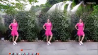 2017最新广场舞教学视频 中三《草原的月光》 附教学