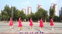 天津市静海区丰普村广场舞队《超级舞林》