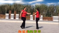 夏垫文化广场舞蹈队双人舞《你不来我不老》编舞茉莉