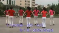 财源影碟 特制广场舞之十八的姑娘一朵花24步_标清
