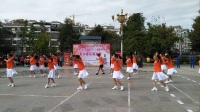 贵州惠水炫舞舞蹈队演示广场舞《广场styIe》