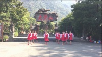 紫月蔷薇广场舞 青春踢踏（12人变队形）