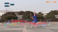 茉莉广场舞《藏家乐》-国语高清