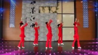 天姿广场舞2014年24期《爱情新感觉》刘荣广场舞活动视频 附背面教学