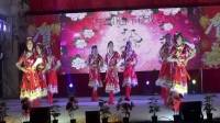 2018年山鸡窿春节联欢晚会《想西藏美丽的雪山姑娘》旧营舞蹈队