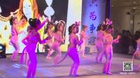 百亚晓帆舞蹈团(中国舞)周五18：40班《波斯猫》