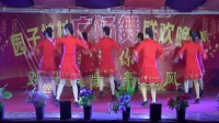 2018园子坡村广场舞联欢晚会《最动听的情歌》合岗村委舞蹈队