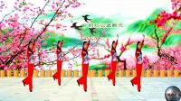 武汉周舟广场舞（恰恰）《桃花开在二月间》