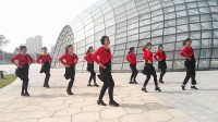 碧水华庭广场舞（爱情恰恰）团队及背面演示