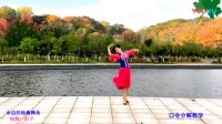 应子广场舞 水边的格桑梅朵（维族藏族多元素舞蹈）_高清