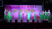 连塘舞蹈队《梨花情》2018年爱群做香村广场舞五一文艺汇演