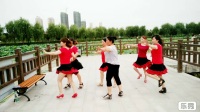 贾文婷炫动广场舞《对跳双人舞蹈》
