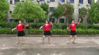 高岭红太阳广场舞--《语花蝶》