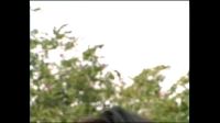 李忠信导演《花季雨季》1、2集  主演：潘军、戴娇倩、陈智彬、谈锐、肖博、宋洁等《大众电视金鹰奖》获奖作品  1999