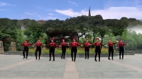丽人杭州荷风广场舞祝酒歌（1）广场舞基础教学