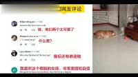 老外看中国：一名中国3岁小男孩跳广场舞，油管评论：这舞跳得真是太牛了！