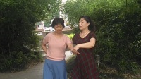 上海姐妹广场舞「梨花飞情人泪」双人舞