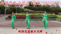 2016最新 广场舞蹈视频大全《天下姐妹》瑞昌市火红玫瑰姐妹舞蹈队