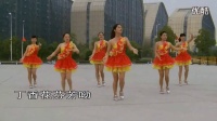 唱花儿的花儿（MTV字幕版）﹏阿文贝贝~美女最新广场舞