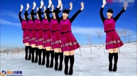 2019年最新广场舞《又见雪花飞dj》我家乡下雪了，动作简单附分解！