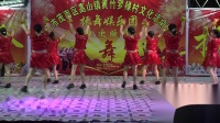 舞动人生代表队《摇起来嗨起来》2018罗禄村第二届振舞娱乐团广场舞邀请赛