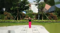 大刘金仙广场舞——新阿瓦古力   编舞：午后骄阳