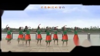 応子广场舞《梦见你的那一夜》含背面与分解教学 广场舞视频大全_标清