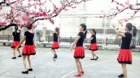 胡利平广场舞舞队《北江美》