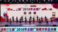 （30）2018年全国广场舞大赛总决赛（武汉）