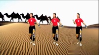 最新广场舞网红神曲《沙漠骆驼》原创