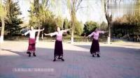 《藏家乐》背面演示（沚水、梅子、约定）云裳广场舞原创视频出品