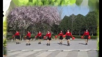 秋雨玫瑰广场舞丰收中国《编舞梅子》